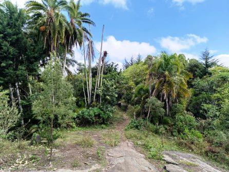 Wesu Rock（Taita Hills / 高地文化）-非行家旅行-Africa Wild Wander