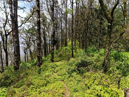 Mount Sagalla（萨加拉山）-非行家旅行-Africa Wild Wander