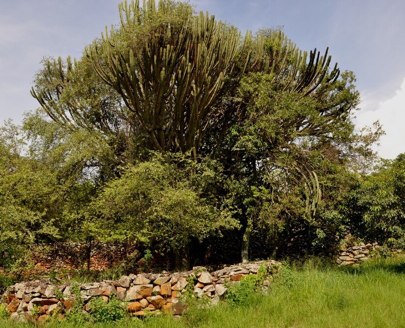 Thimlich Ohinga（水系 / 湖泊 / 海岸）-非行家旅行-Africa Wild Wander