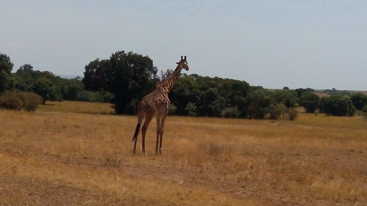 Kaptuya Conservancy-非行家旅行-Africa Wild Wander