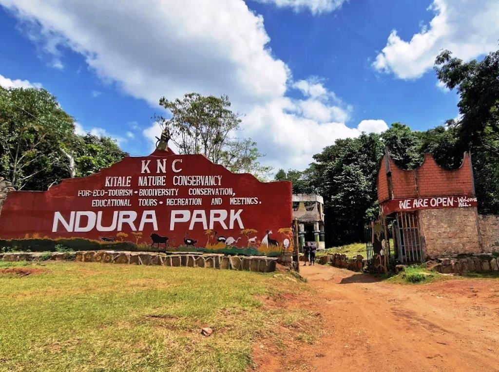 Kitale Nature Conservancy / Ndura Park（基塔莱自然保护地）-非行家旅行-Africa Wild Wander
