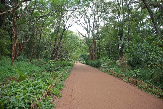 Kenya's Forests（水系 / 湖泊 / 海岸）-非行家旅行-Africa Wild Wander