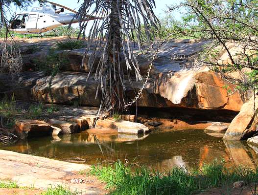 Yatta (Tsavo) Springs（Tsavo East / 野生动物）-非行家旅行-Africa Wild Wander