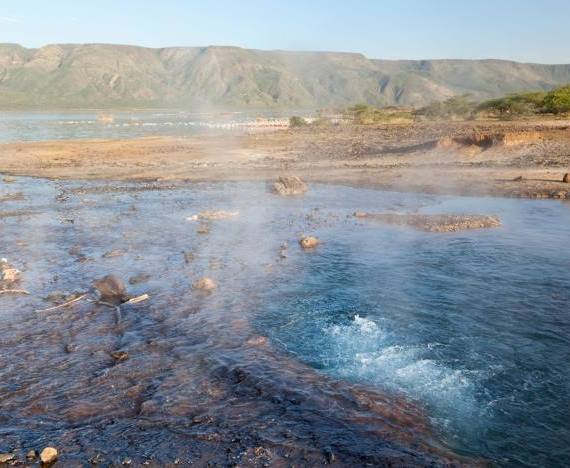 Lake Bogoria-非行家旅行-Africa Wild Wander