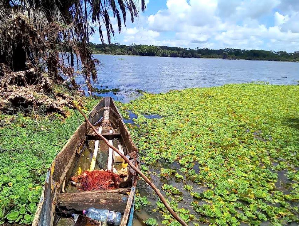 Lake Kenyatta（水系 / 红树林）-非行家旅行-Africa Wild Wander