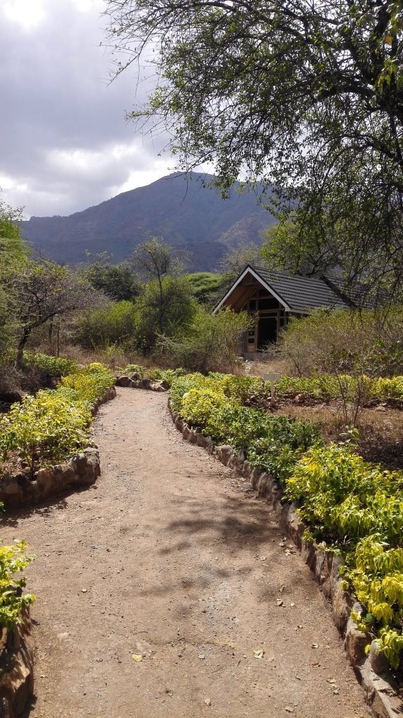 Kerio River Lodge(水系 / 湖泊 / 海岸)-非行家旅行-Africa Wild Wander