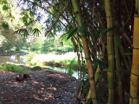 Makueni Cultural Centre（宗教遗产 / Akamba 文化）-非行家旅行-Africa Wild Wander
