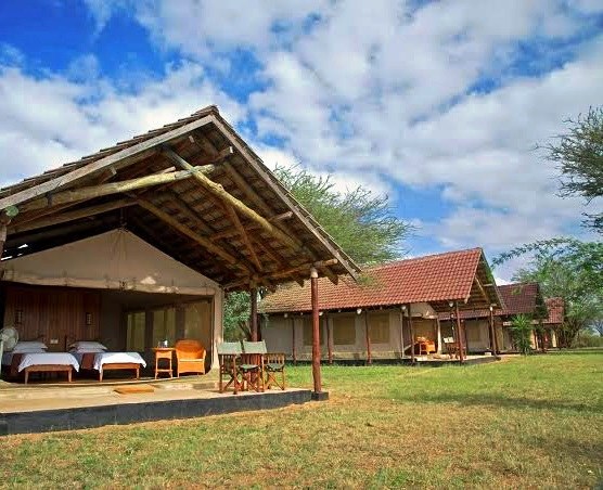 Ashnil Aruba Lodge（Tsavo East / 野生动物）