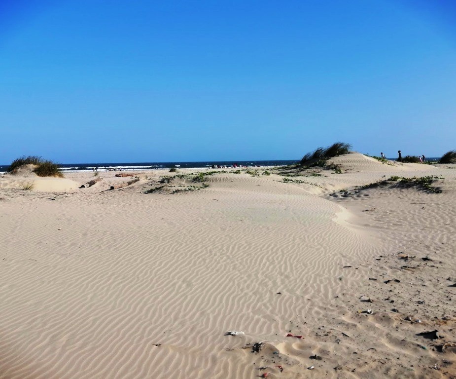 Mambrui Sand Dunes（水系 / 湖泊 / 海岸）-非行家旅行-Africa Wild Wander