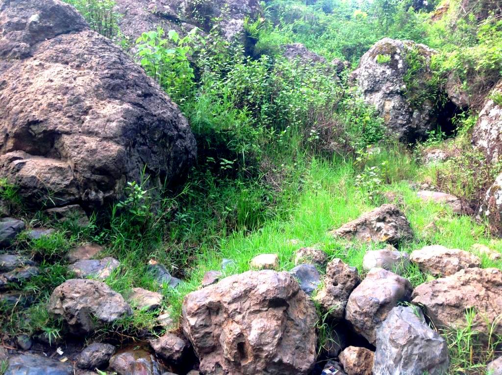 Keben Spring Water（产业 / 地方资源）-非行家旅行-Africa Wild Wander