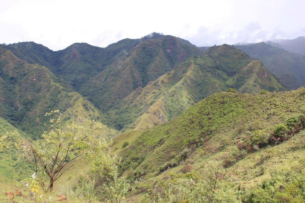 Kureswo Hot Springs（水系 / 湖泊 / 海岸）-非行家旅行-Africa Wild Wander