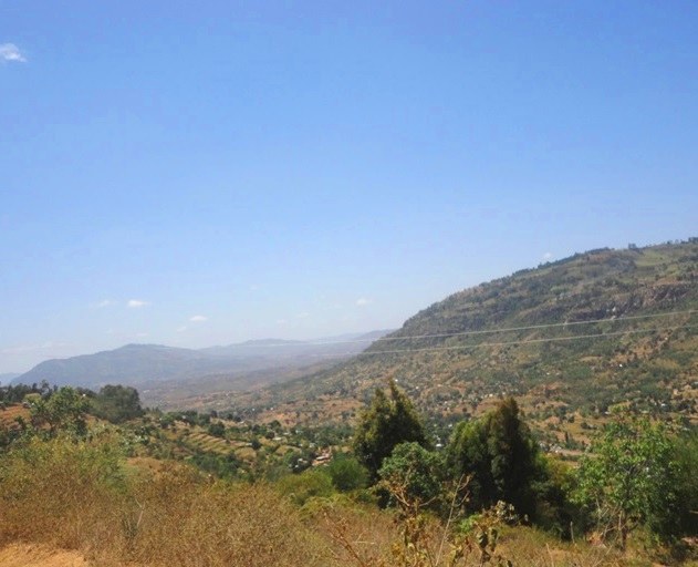 Iveti Hills Forest（伊韦蒂山森林）-非行家旅行-Africa Wild Wander