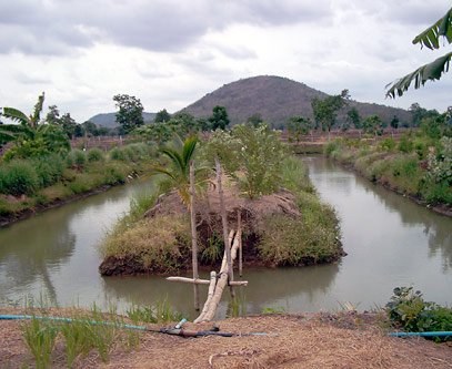 Samia Hills（水系 / 湖泊 / 海岸）-非行家旅行-Africa Wild Wander