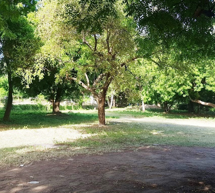 Mazingira Park(国家公园 / 保护区 / Safari)-非行家旅行-Africa Wild Wander
