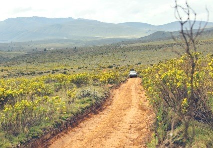 Rutundu Log Cabins（县域目的地）-非行家旅行-Africa Wild Wander