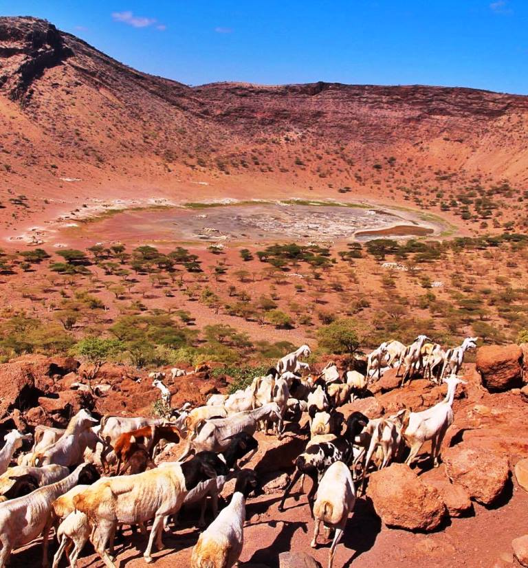 Magado Cave Dwellings（历史遗产 / 博物馆）-非行家旅行-Africa Wild Wander