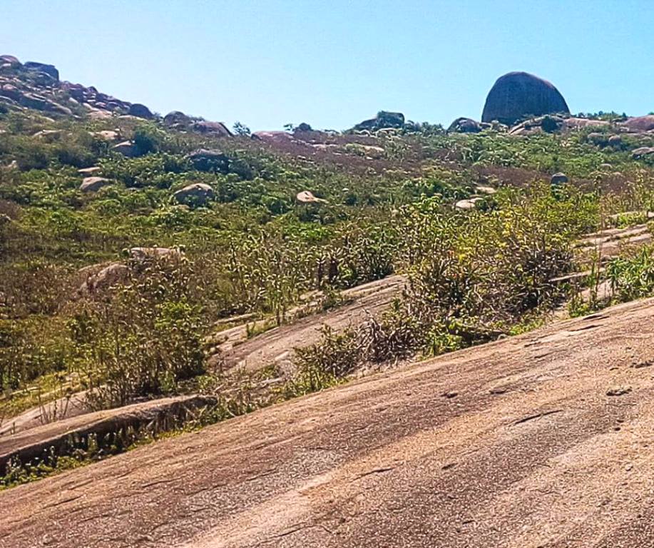 Bonjoge National Reserve（邦乔格国家保护区）-非行家旅行-Africa Wild Wander