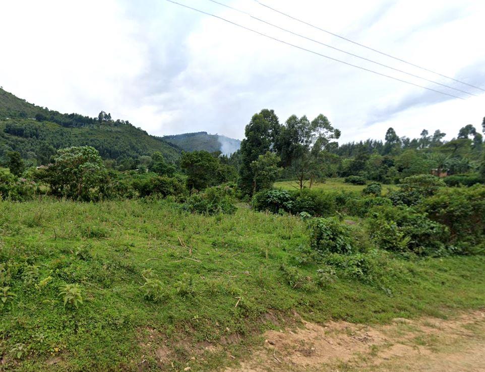 North Nandi Forest(北南迪森林)-非行家旅行-Africa Wild Wander