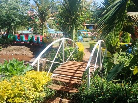Cool Stream Garden(县域目的地)-非行家旅行-Africa Wild Wander
