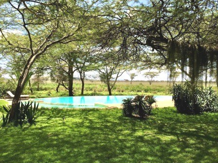 Sirikoi House(Lewa / Ngare Ndare 保护地)-非行家旅行-Africa Wild Wander