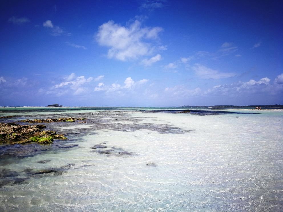 Watamu Marine Park(水系 / 湖泊 / 海岸)-非行家旅行-Africa Wild Wander