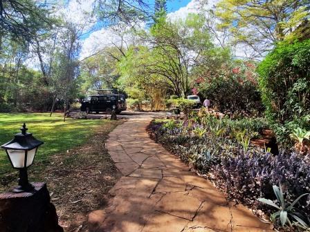 Kilaguni Safari Lodge（Tsavo West / 火山与泉水）-非行家旅行-Africa Wild Wander