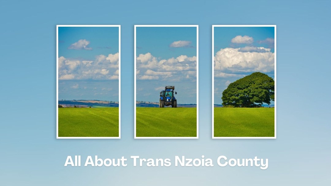 Trans Nzoia County（特兰斯恩佐亚县）-非行家旅行-Africa Wild Wander