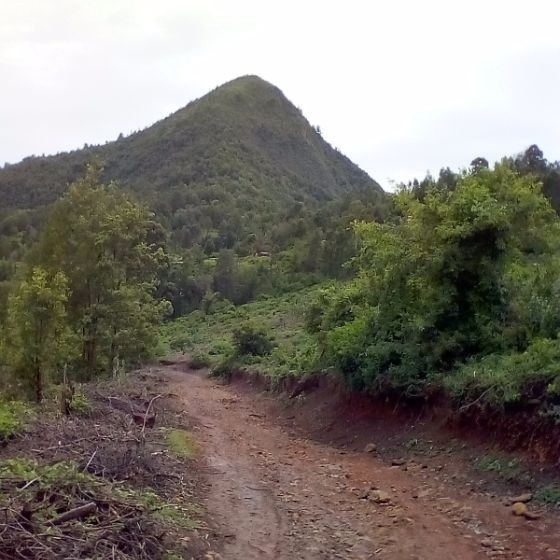 Morop Hill-非行家旅行-Africa Wild Wander