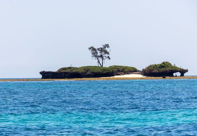 Kisite-Mpunguti Marine Park & Reserve（基西特-姆蓬古蒂海洋公园与保护区）-非行家旅行-Africa Wild Wander