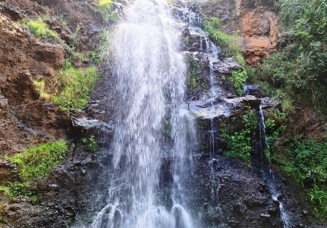 Ngare Ndare Forest(恩加雷恩达雷森林)-非行家旅行-Africa Wild Wander