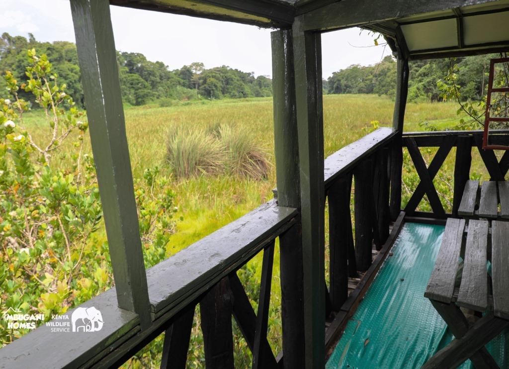 Tree Top Hut（树顶小屋）-非行家旅行-Africa Wild Wander