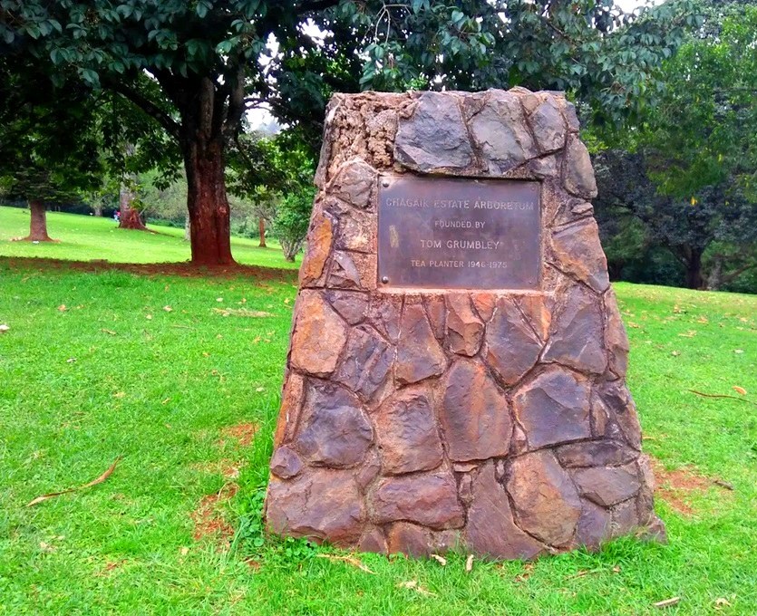 Chagaik Arboretum（查盖克树木园）-非行家旅行-Africa Wild Wander