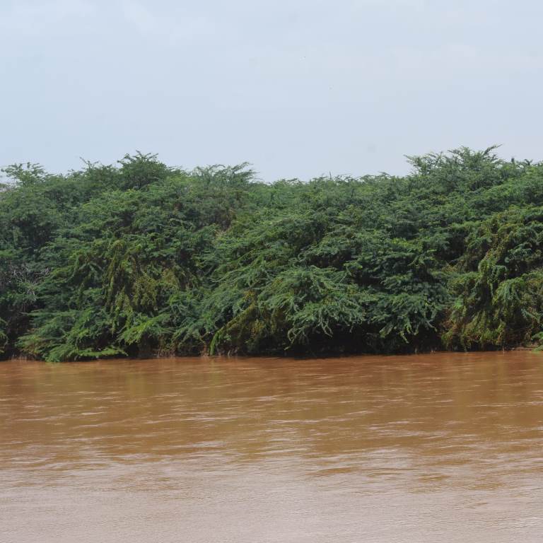 Bura East Conservancy（水系 / 湖泊 / 海岸）-非行家旅行-Africa Wild Wander