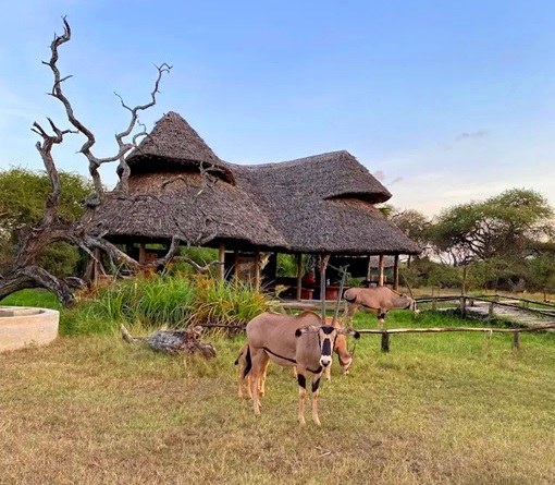 Nguuni Nature Sanctuary(生态公园 / 海洋保护)-非行家旅行-Africa Wild Wander