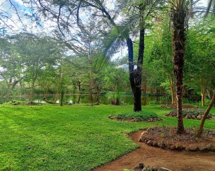 Hunter’s Lodge（Kibwezi / Umani / Safari）-非行家旅行-Africa Wild Wander