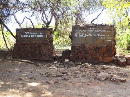 Mzima Springs（姆兹马泉）-非行家旅行-Africa Wild Wander
