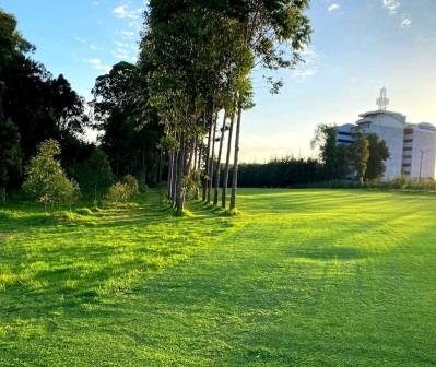 Kericho Golf Course(住宿 / 休闲设施)-非行家旅行-Africa Wild Wander