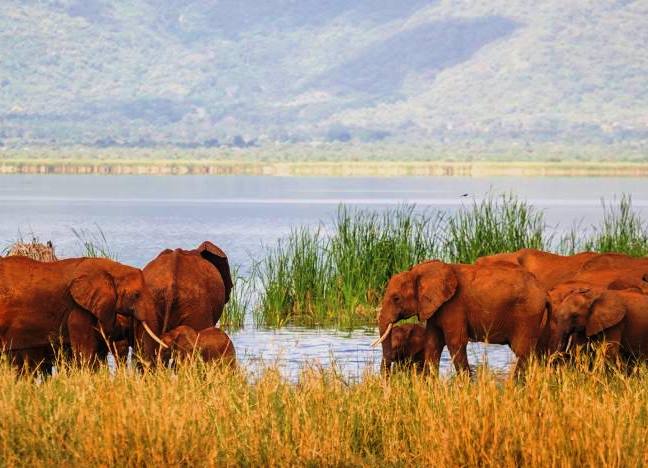 Lake Jipe（吉佩湖）-非行家旅行-Africa Wild Wander