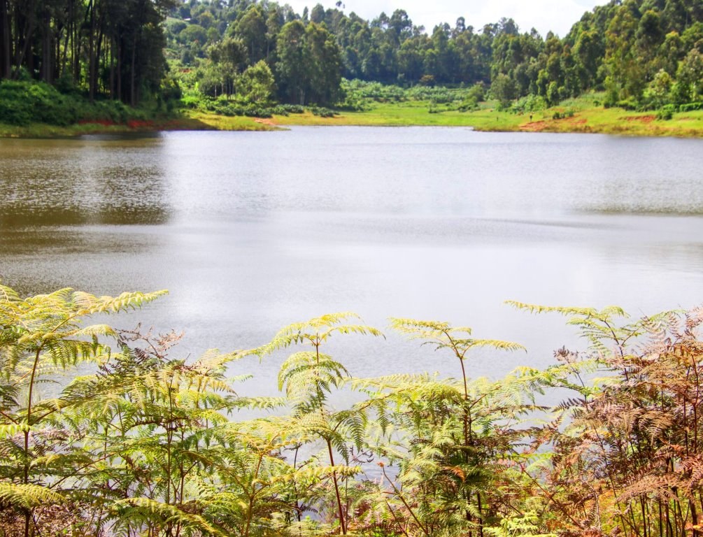 Mulima Dam（基础设施 / 农业加工 / 水资源）-非行家旅行-Africa Wild Wander