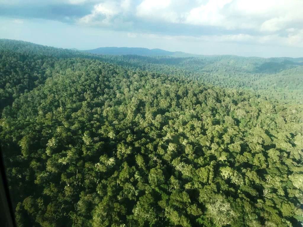 Kirisia Forest（山地 / 高原 / 荒漠地貌）-非行家旅行-Africa Wild Wander