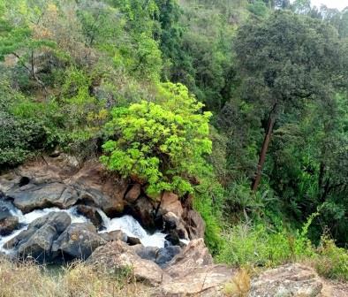 Londiani Falls（水系 / 瀑布）-非行家旅行-Africa Wild Wander