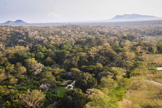 Forests of Kenya（自然景观 / 徒步）-非行家旅行-Africa Wild Wander