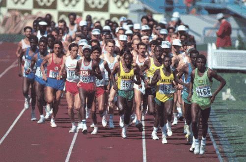 Olympic Games Marathon（县域目的地 / 专题资料）-非行家旅行-Africa Wild Wander