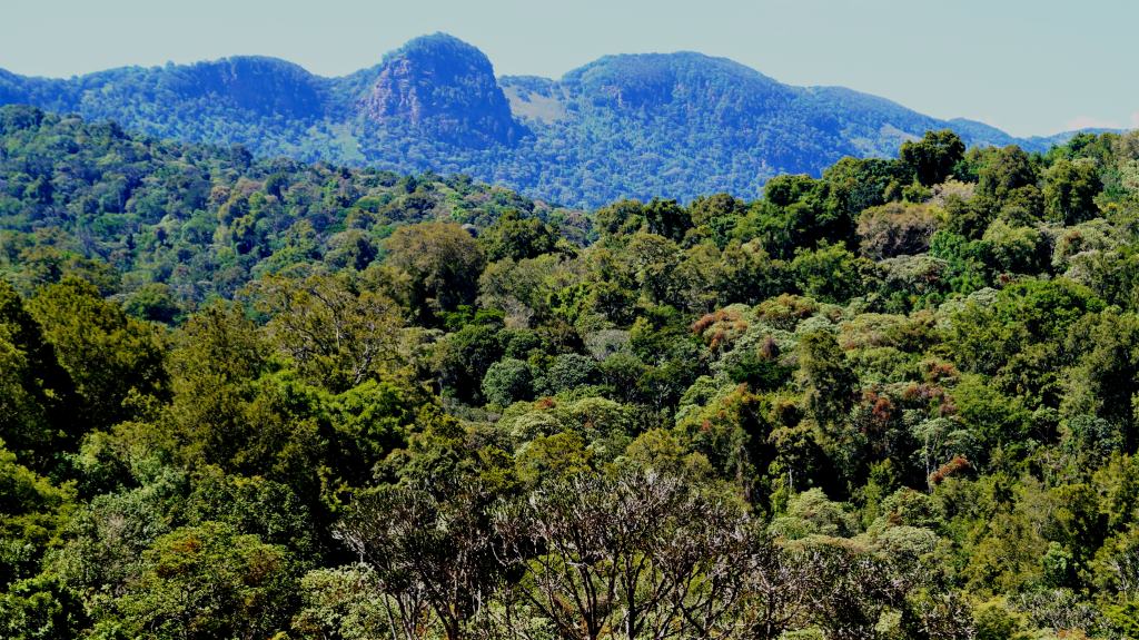 Cherangani Hills（自然景观 / 徒步）-非行家旅行-Africa Wild Wander