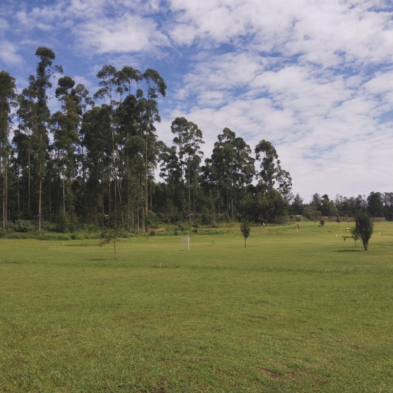 Amanzi Resort（水系 / 湖泊 / 海岸）-非行家旅行-Africa Wild Wander
