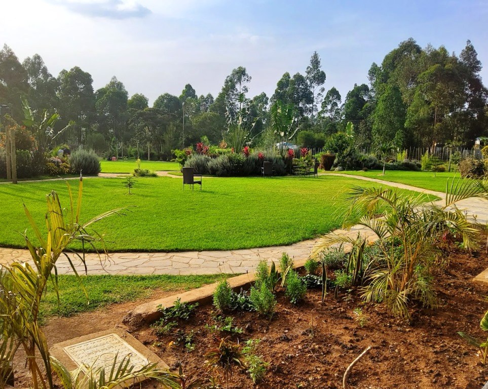 The Willis Hotel（历史遗产 / 博物馆）-非行家旅行-Africa Wild Wander