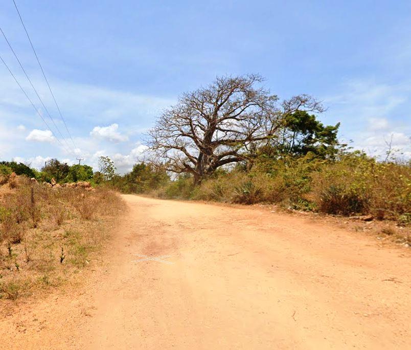Vipingo Mosque Ruins（历史遗产 / 博物馆）-非行家旅行-Africa Wild Wander