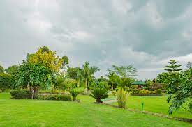 Sahara Gardens Hotel（住宿 / 营地）-非行家旅行-Africa Wild Wander
