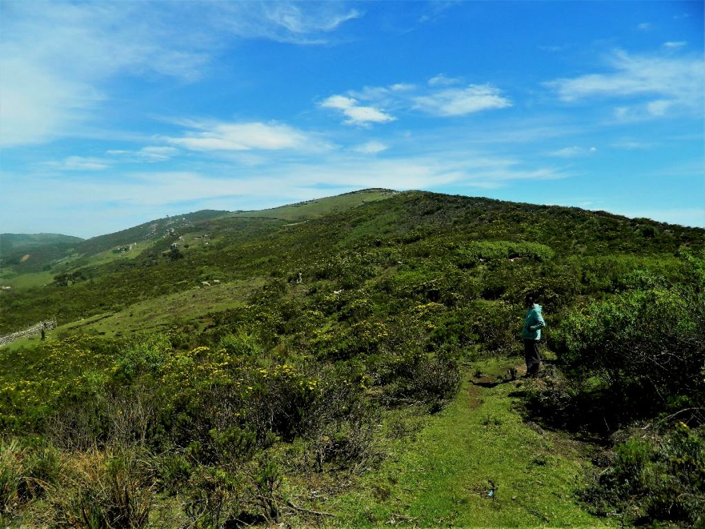 Cherangani Hills（自然景观 / 徒步）-非行家旅行-Africa Wild Wander