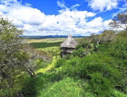 LUMO Wildlife Conservancy（LUMO 野生动物保护地）-非行家旅行-Africa Wild Wander